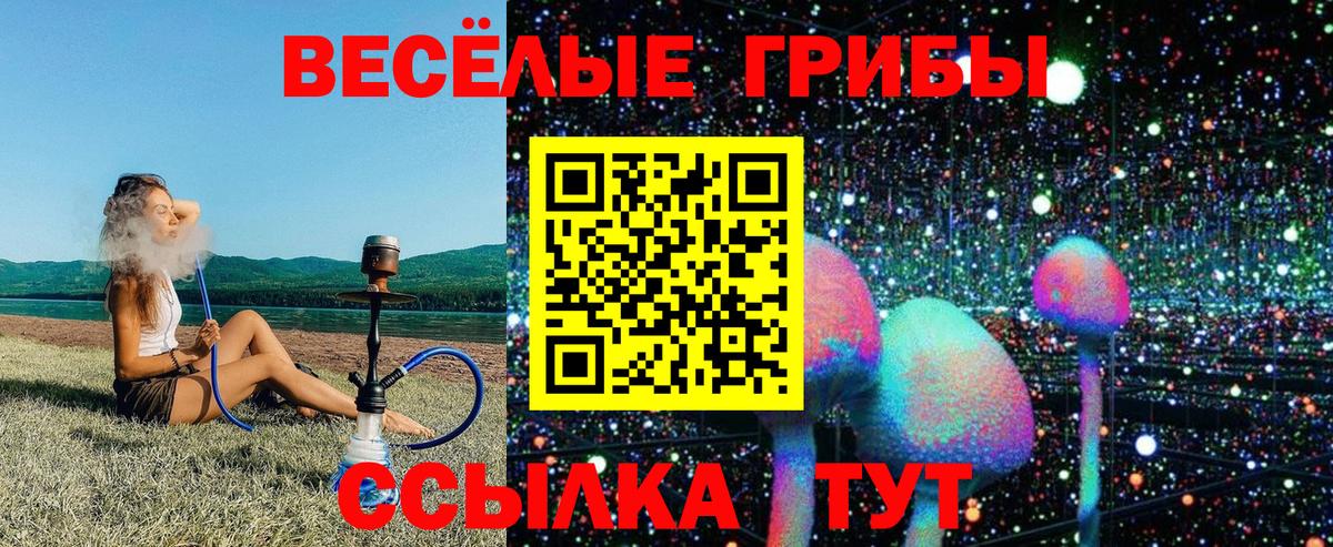 Славянск-на-Кубани  Псилоцибиновые грибы Psilocybine cubensis  наркотики  Вход с VPN 